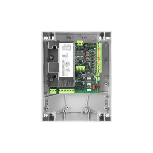[917603674] BRAINY PLUS
